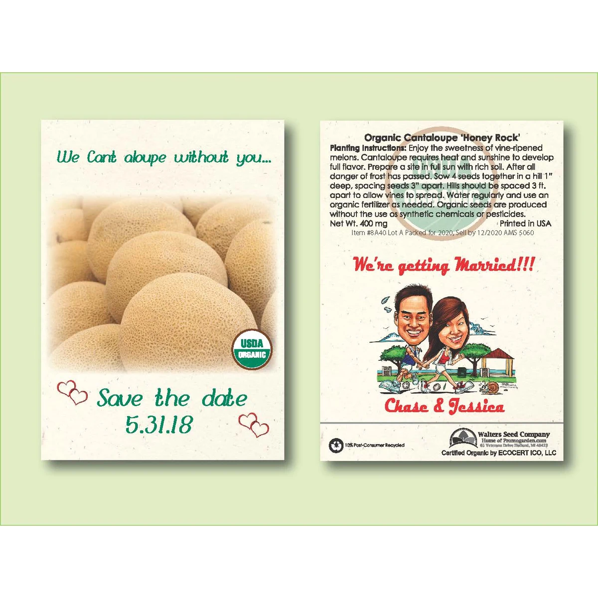 Organic Cantaloupe 'Honey Rock' Seed Packet - Standard Size 3.25" x 4.5" 1