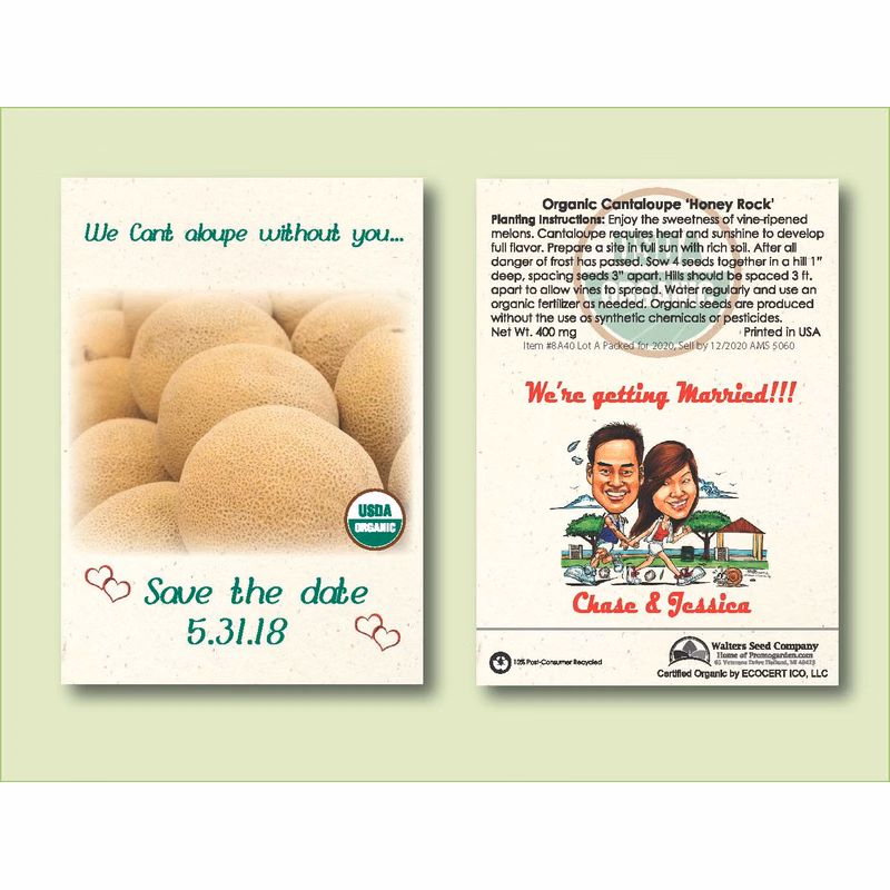Organic Cantaloupe 'Honey Rock' Seed Packet - Standard Size 3.25" x 4.5"