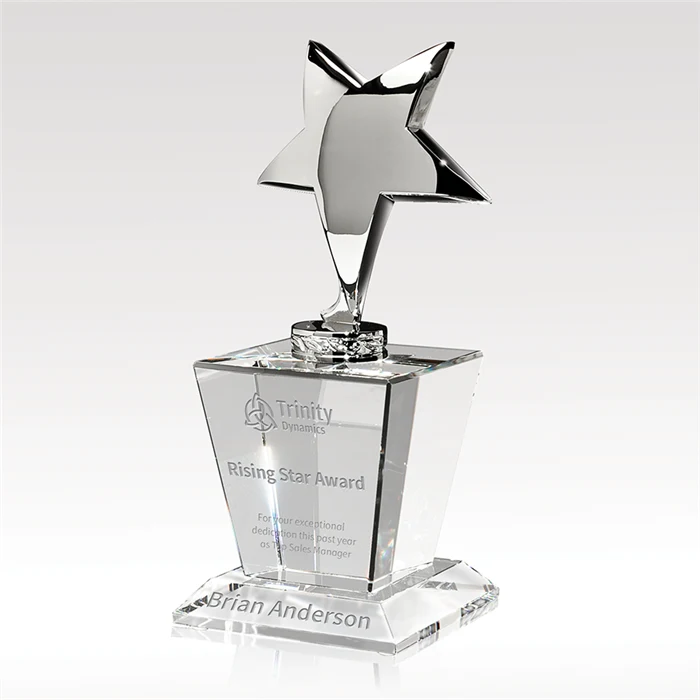 Excelsior Crystal Award 1