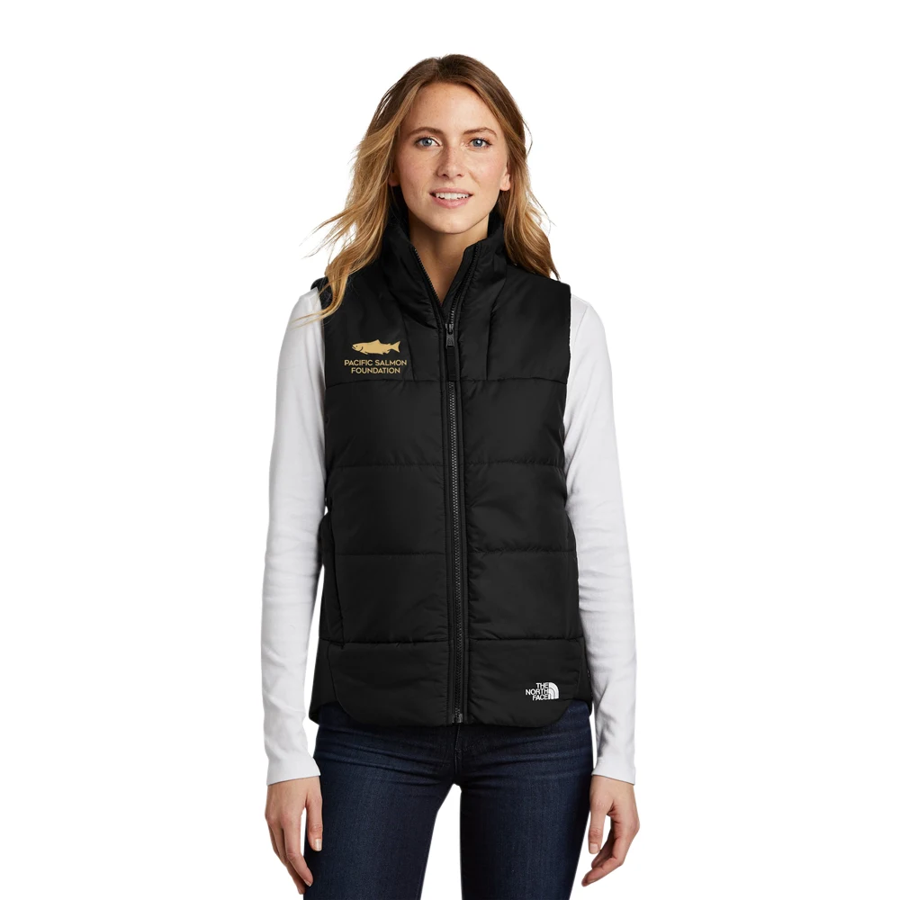 The North Face Ladies Everyday Insulated Vest 1