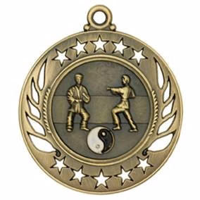 Martial Arts Galaxy Medal, 2 1/4"