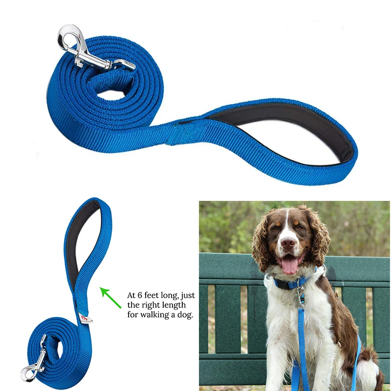 Dog Leashes 1