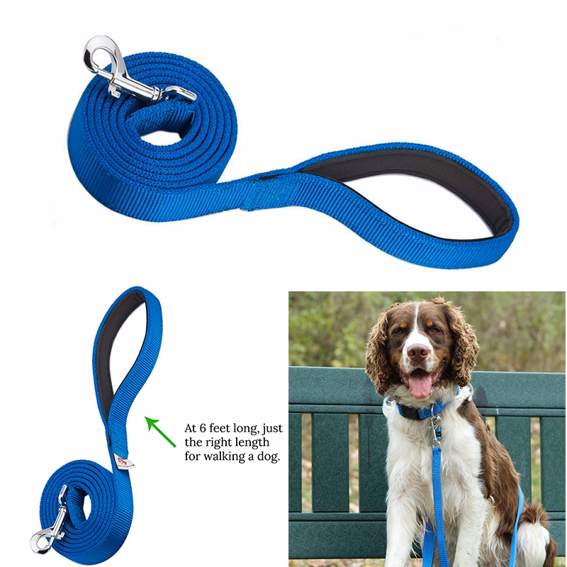 Dog Leashes