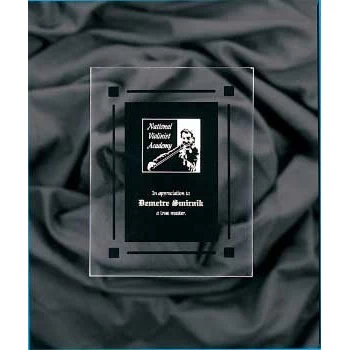 9" x 11" Solid Black Acrylic Clear-Plaq Award 1