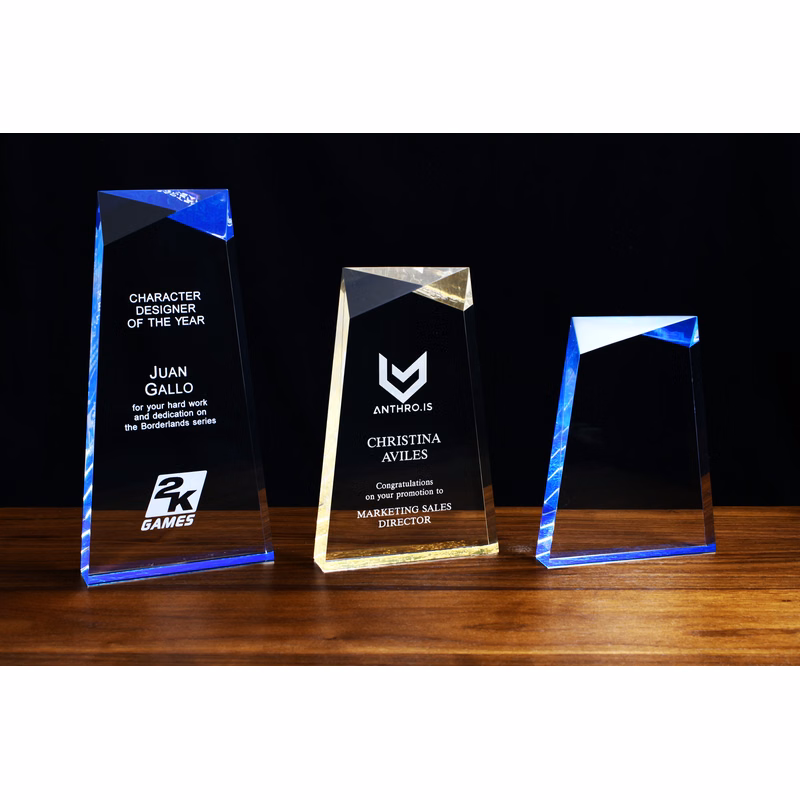 Lucite Lexus Award (9''x4'')