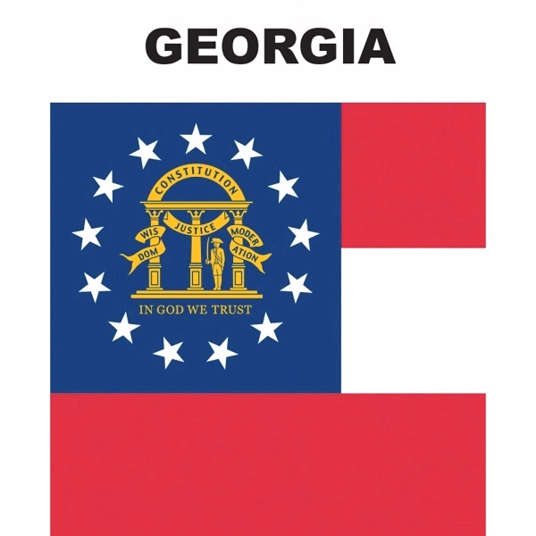 Mini Banner - Georgia