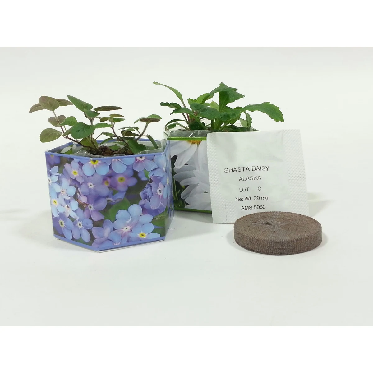 Forget Me Not SeedGems Paper Planter - Biodegradable grow kit 1