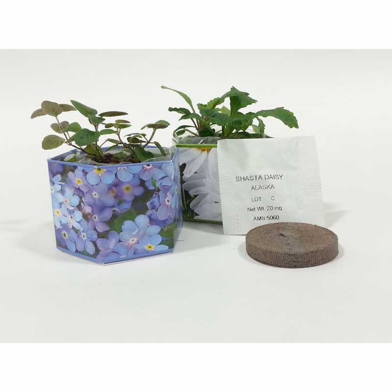 Forget Me Not SeedGems Paper Planter - Biodegradable grow kit
