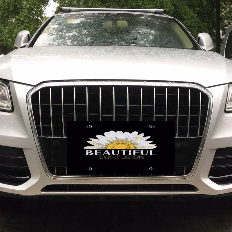 Aluminum License Plate 12 x 6 Inch