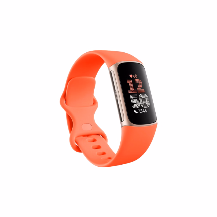 Fitbit Charge 6 Advanced Health Tracker - Coral/Champagne Gold Aluminum