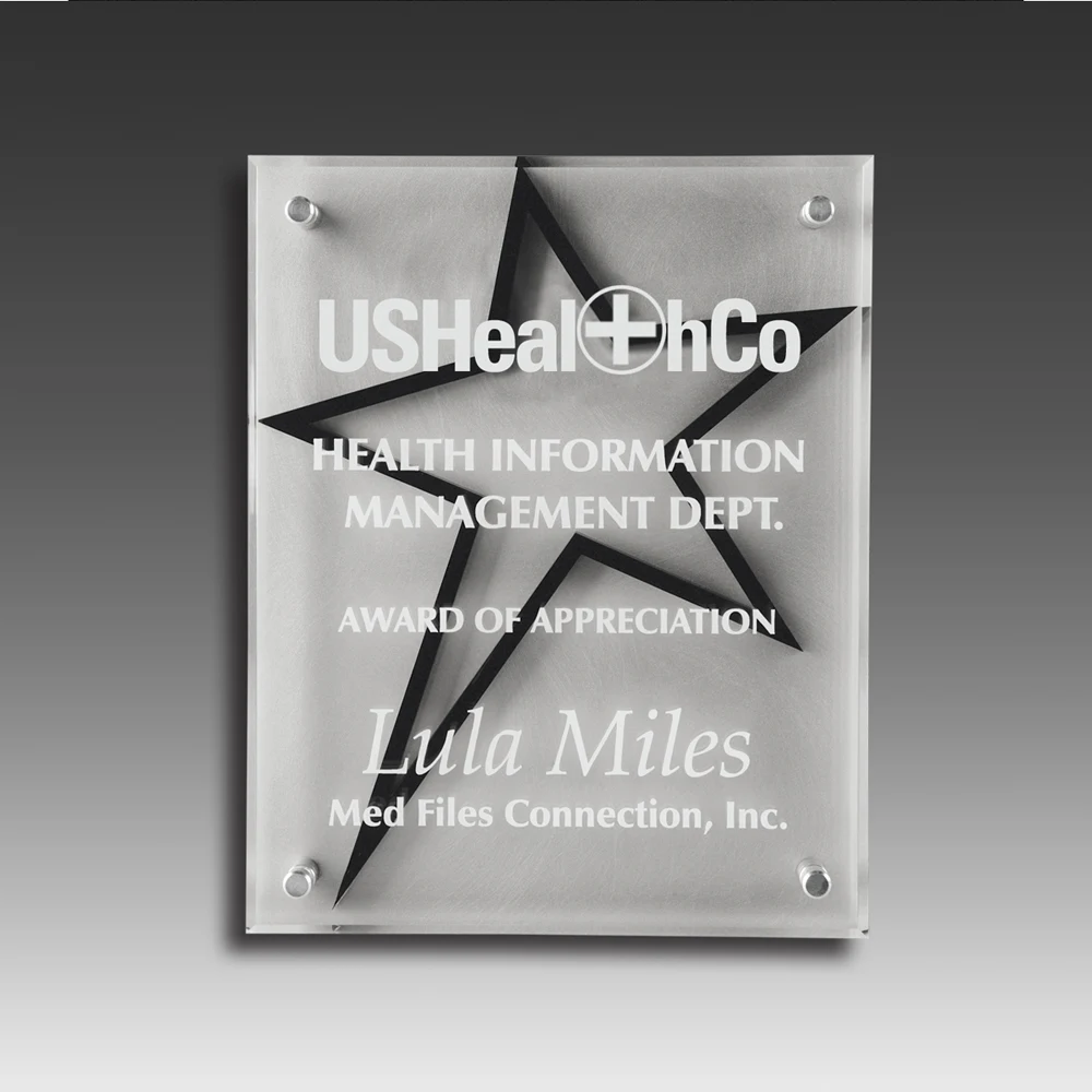3-Dimensional Beveled Star Stand Out Plaque (9"x12"x1") 1