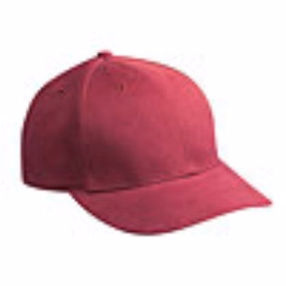 Embroidered Brushed Bull Denim Caps