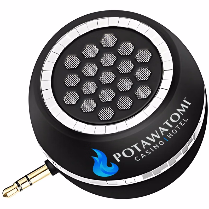 Mini Portable Speaker