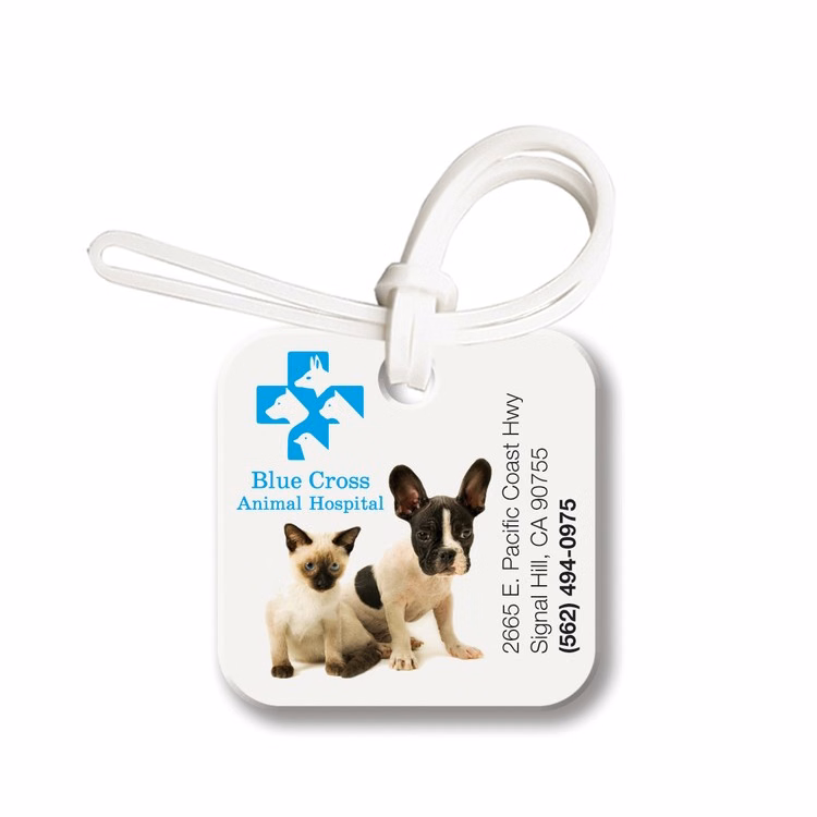 Small Square ID Tag Bag & Luggage Tag - Full Color