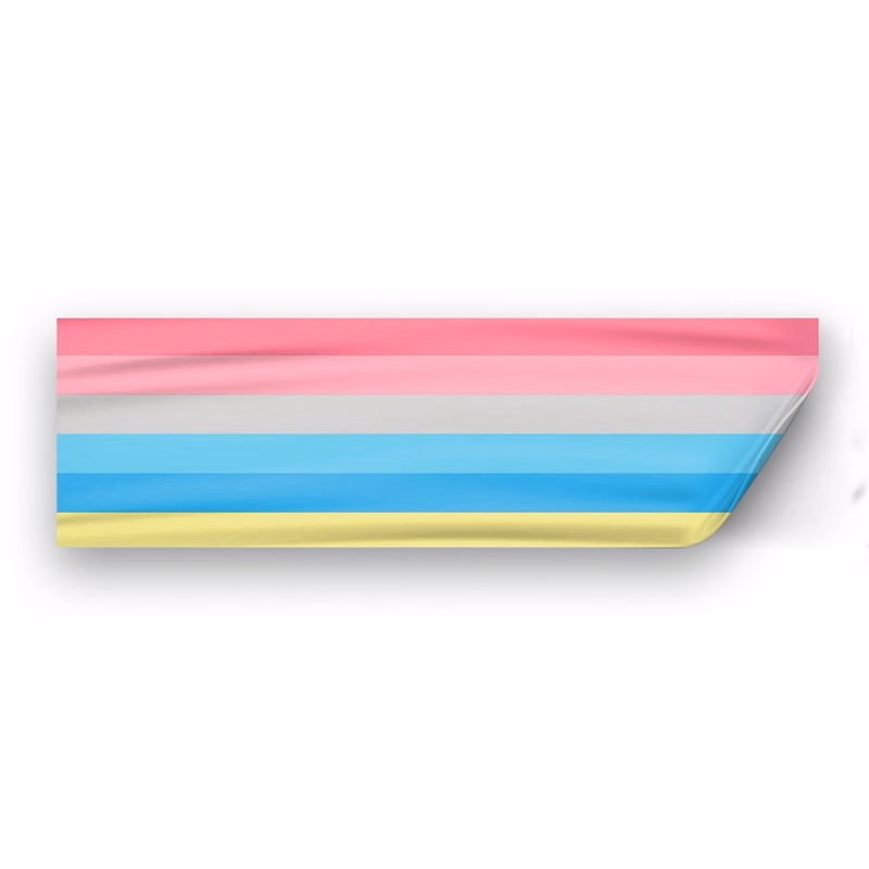 3" x 10" Genderflux Window Decals