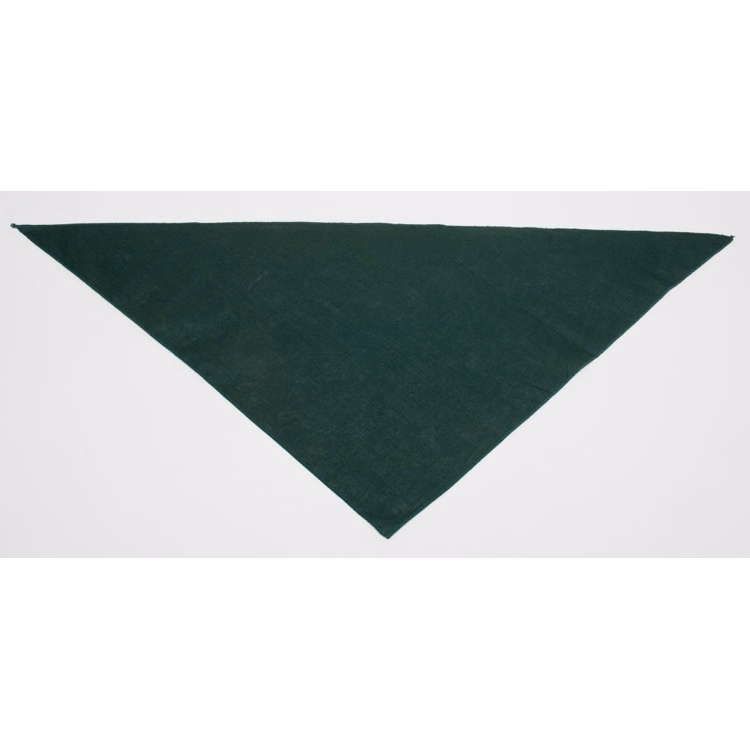 Personalized Large Dark Green Triangle Pet Bandana