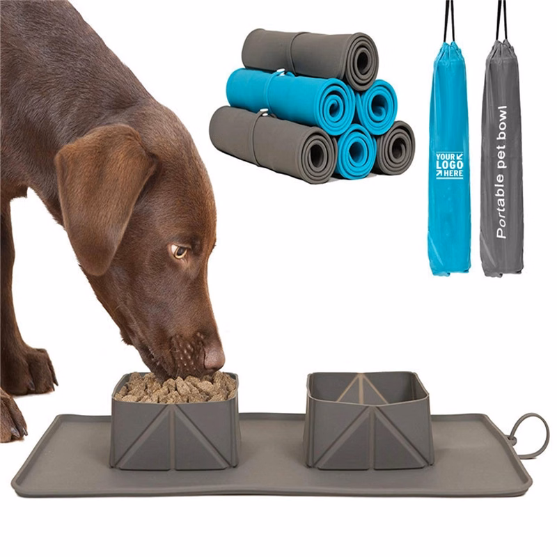 2 In 1 Collapsible Pet Bowl