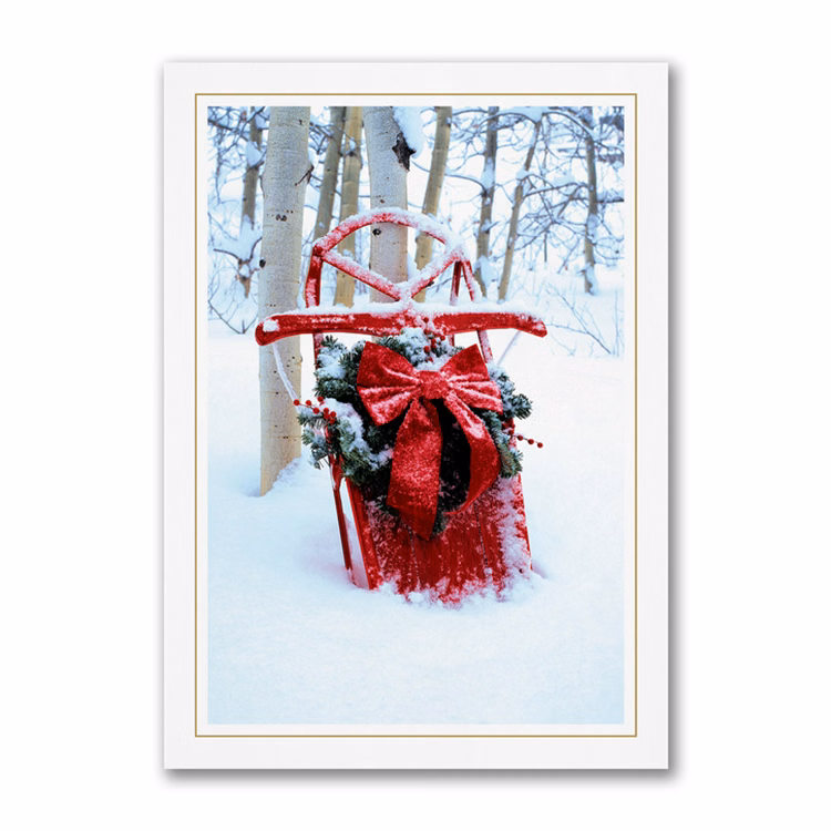 Winter Activity Economy Holiday Card