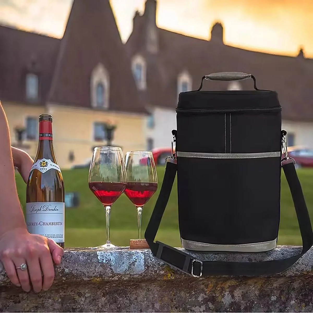 Wine Insulated Bag 1