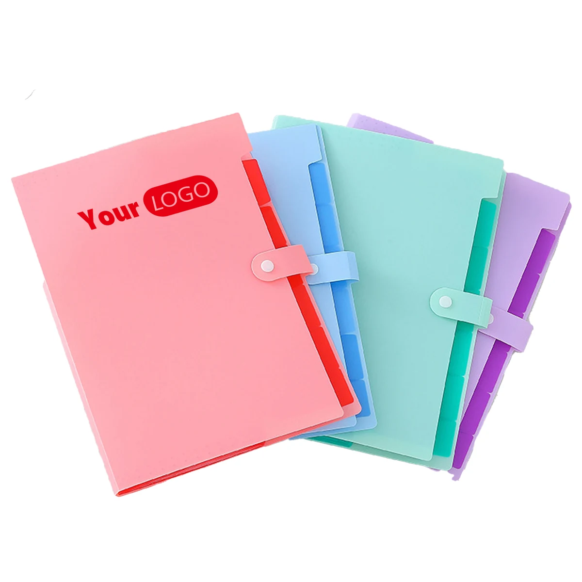 Plastic Organize With Style: Multi-Color Expandable File Folder 1