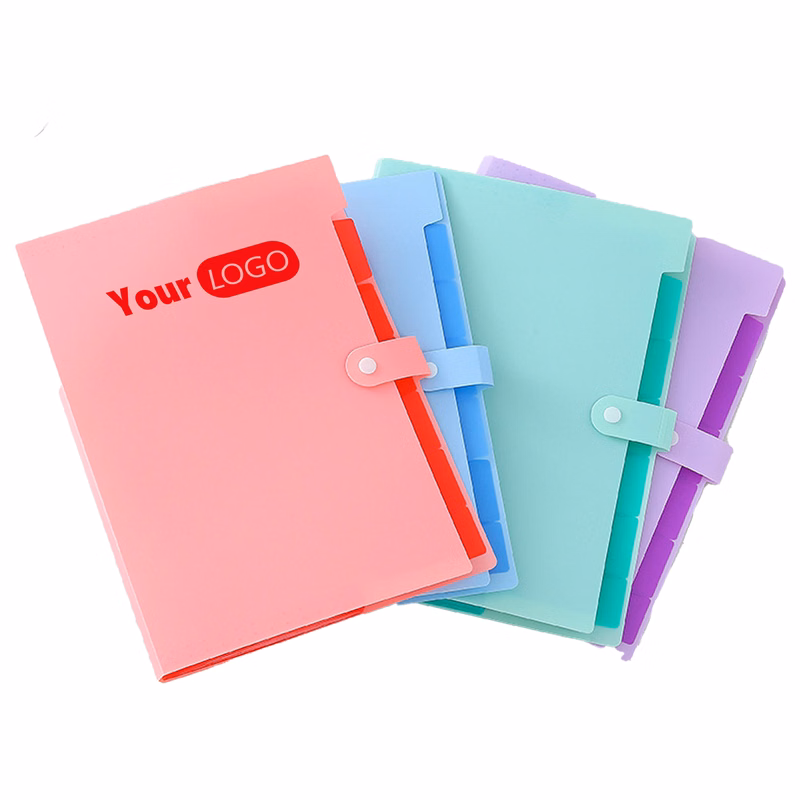 Plastic Organize With Style: Multi-Color Expandable File Folder