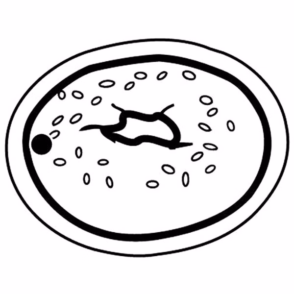 Bagel Key Tag - Spot Color