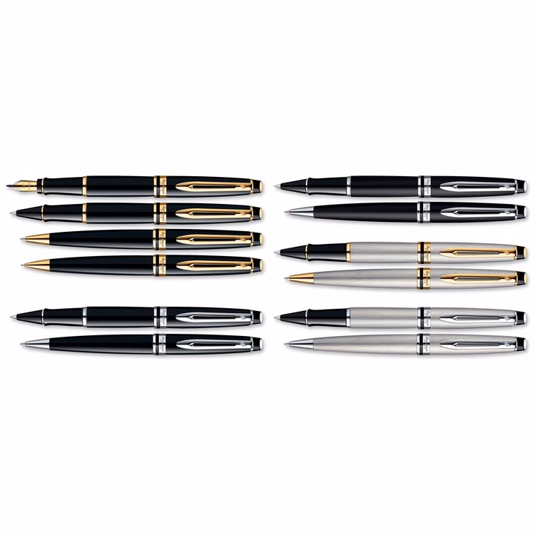 Waterman Expert Ballpoint Pen