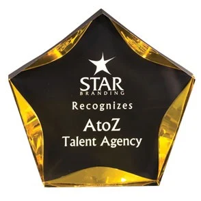 Luminary Acrylic Star Award 1