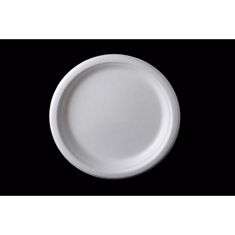 10" Disposable Round Plates - Bagasse 500ct