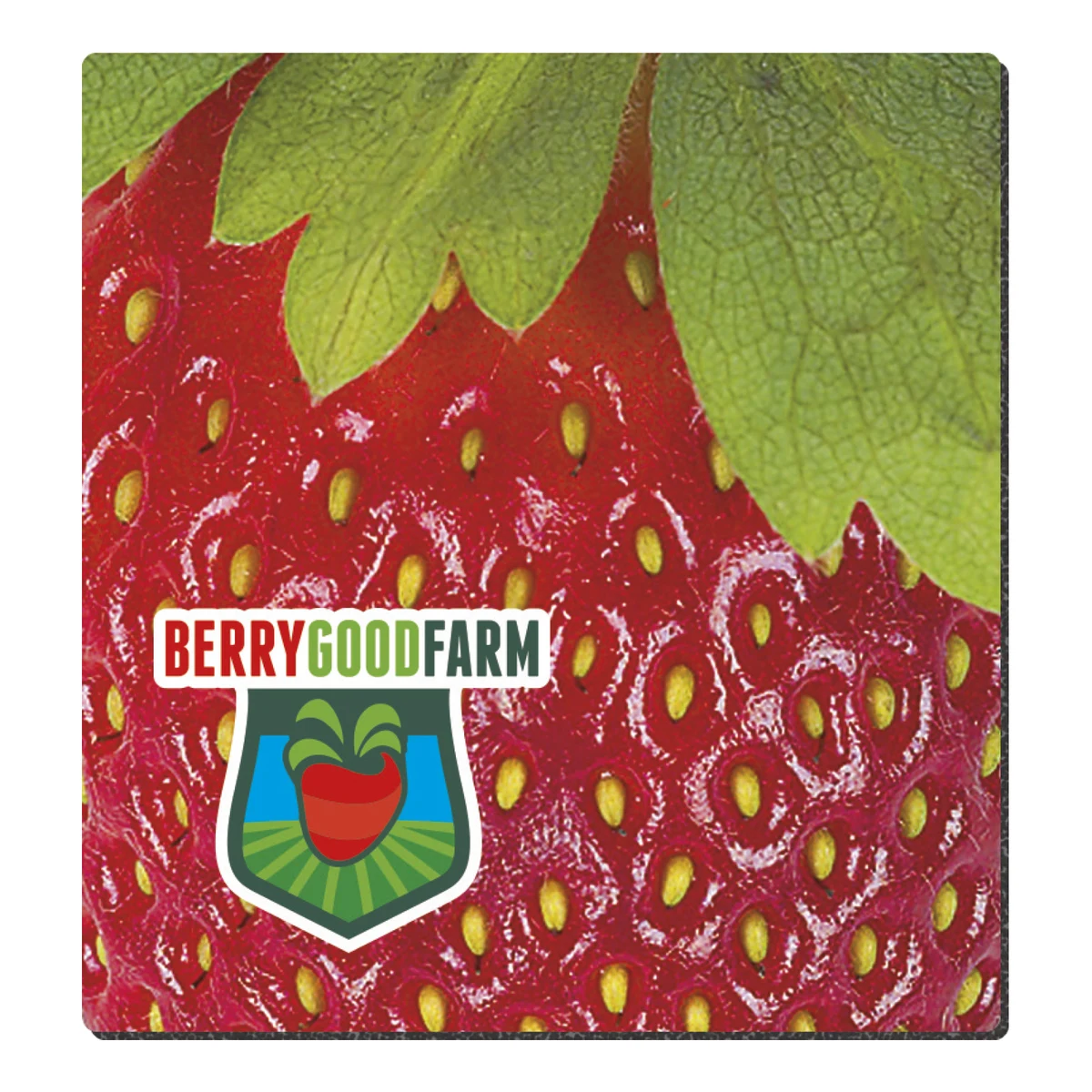 Good Value™ 1/16" Fabric Surface Mouse Pad (7-1/2" x 8") 1