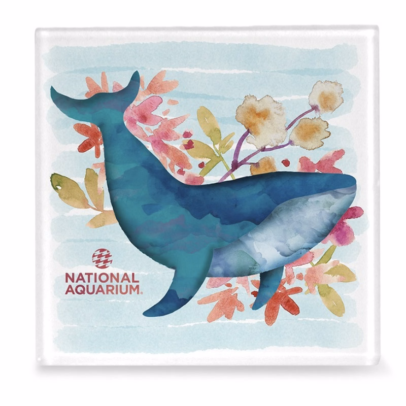 Glass Square Coaster-Closeout
