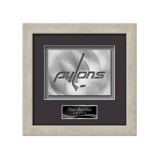 Eldridge Aquashape™ Award - Antique Silver 1