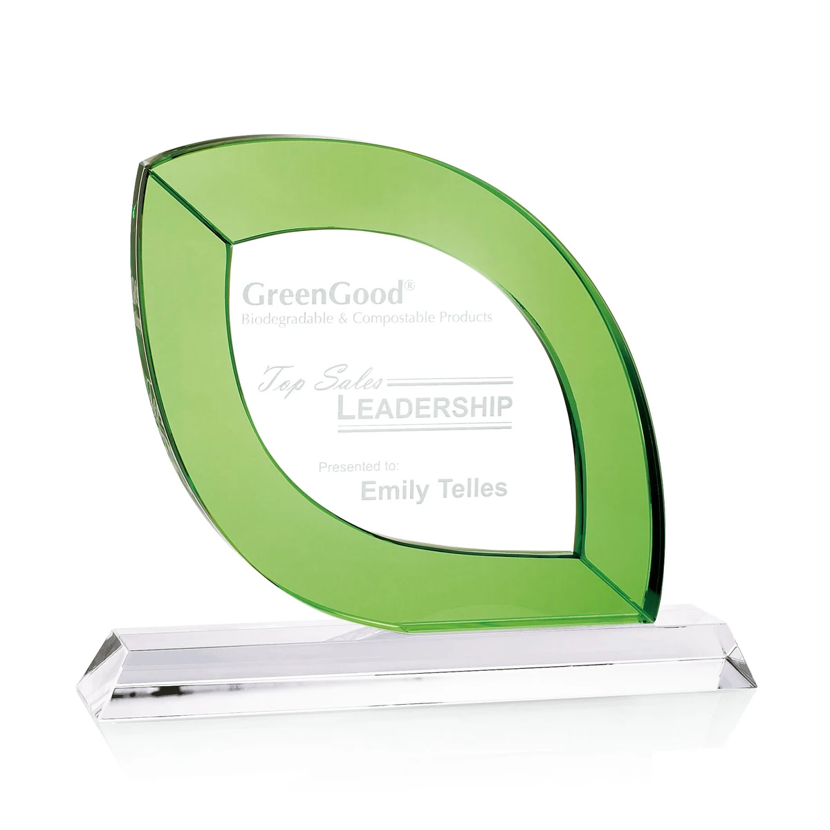 Donati Award 1