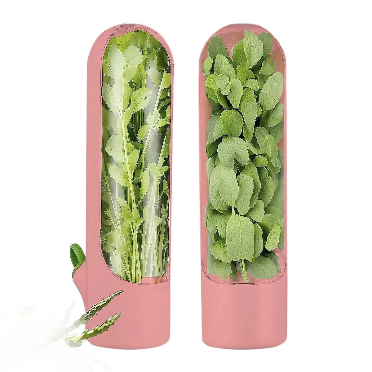 ABS Herb Keeper Refrigerator Storage Container 1