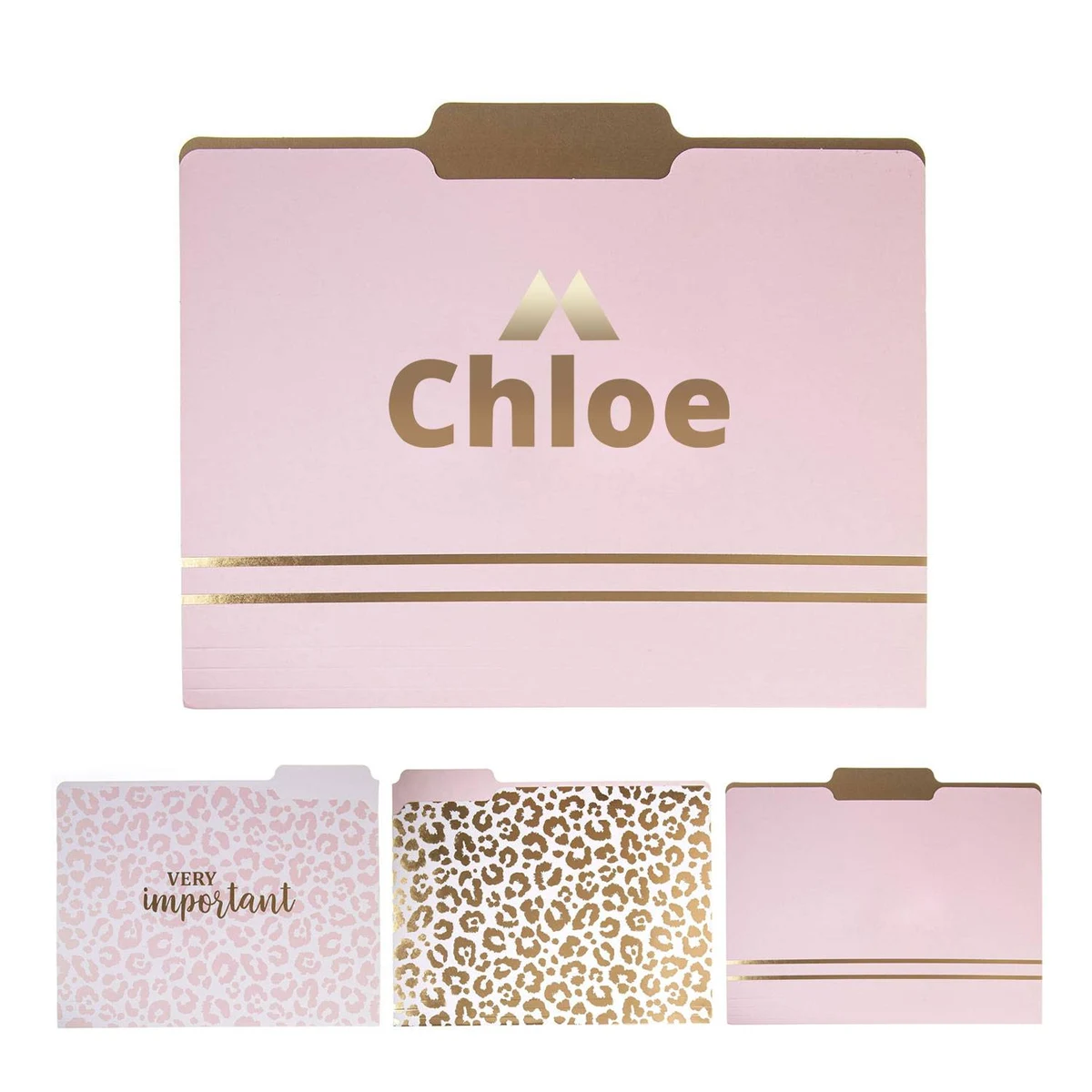 Paper Document File Folders 1