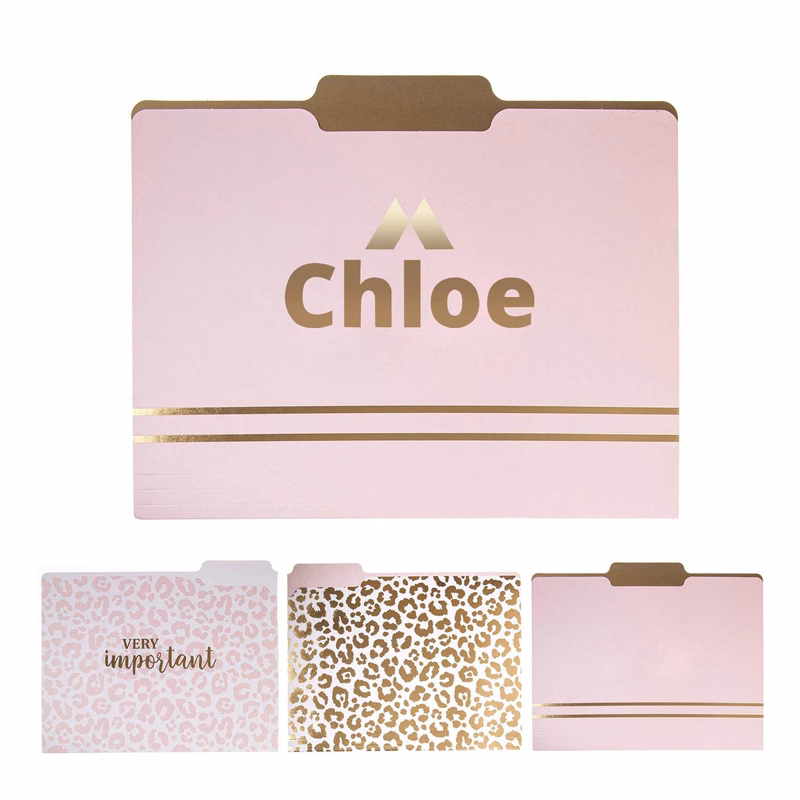 Paper Document File Folders