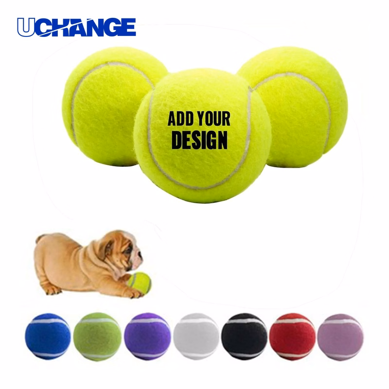 Pet Fetch Tennis Ball Toy