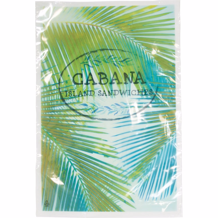 Digital Full Color 1-Sided Clear Plastic Bag (9"x 13")