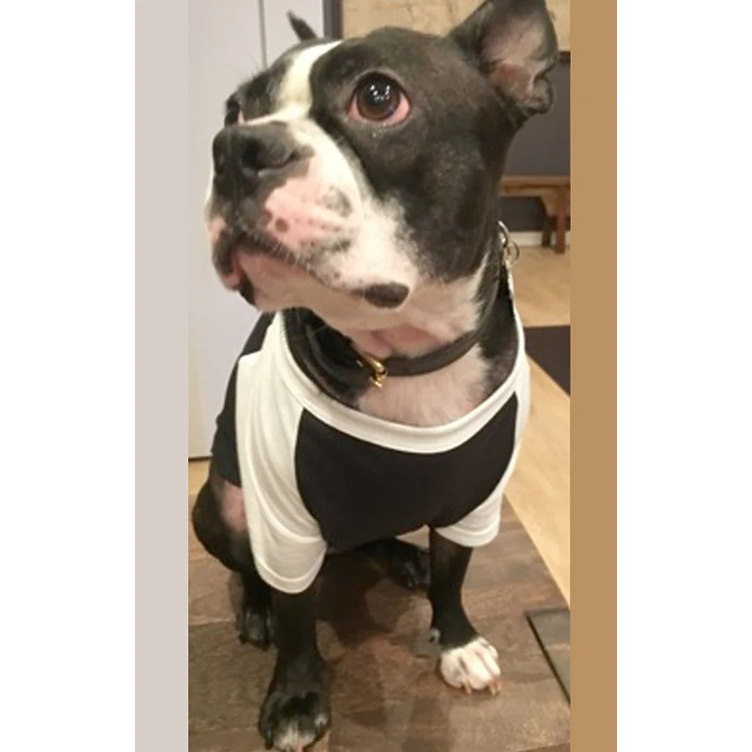 50/50 Blend Doggie Baseball Tee 1