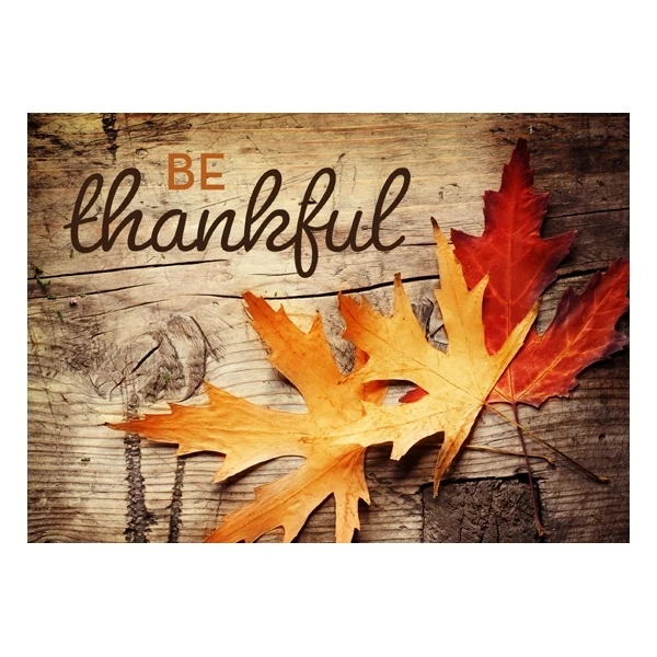 Be Thankful Rustic Thanksgiving Greeting Card 1