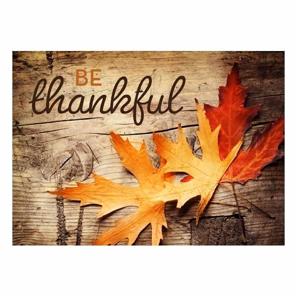 Be Thankful Rustic Thanksgiving Greeting Card