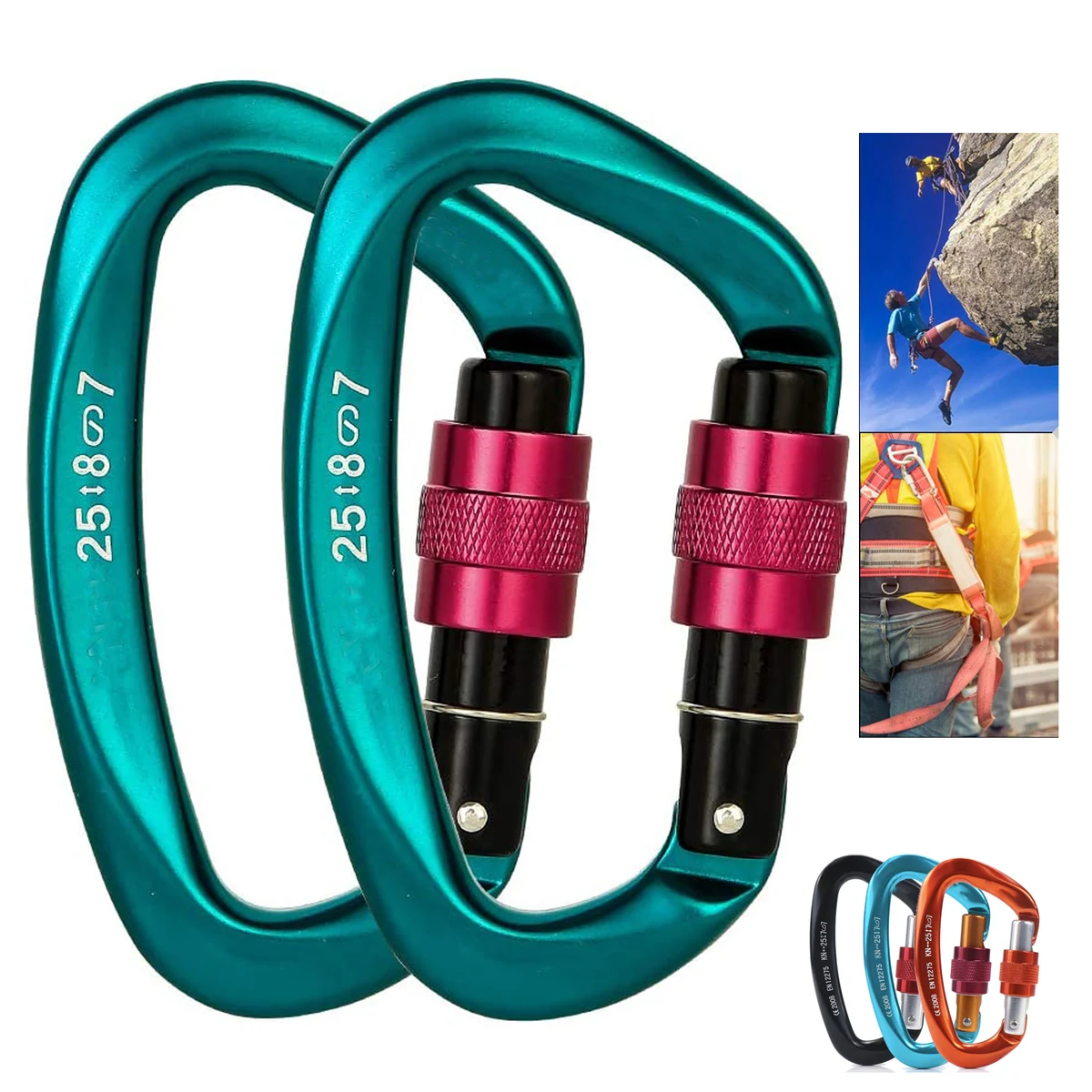 Screwgate Locking Carabiner Clip 1