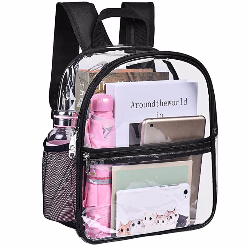 Clear Small Backpack