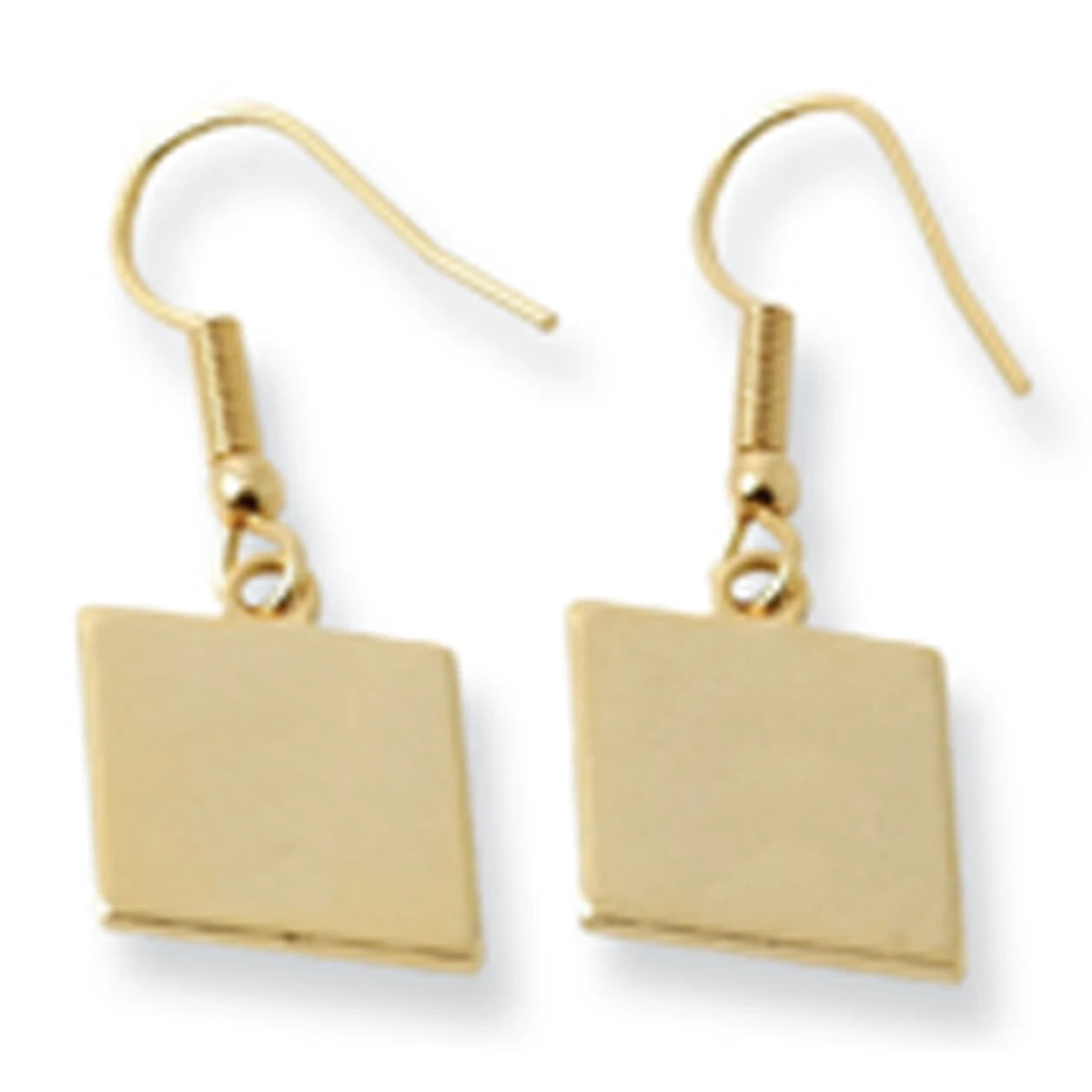 Earring Hook (Each) 1