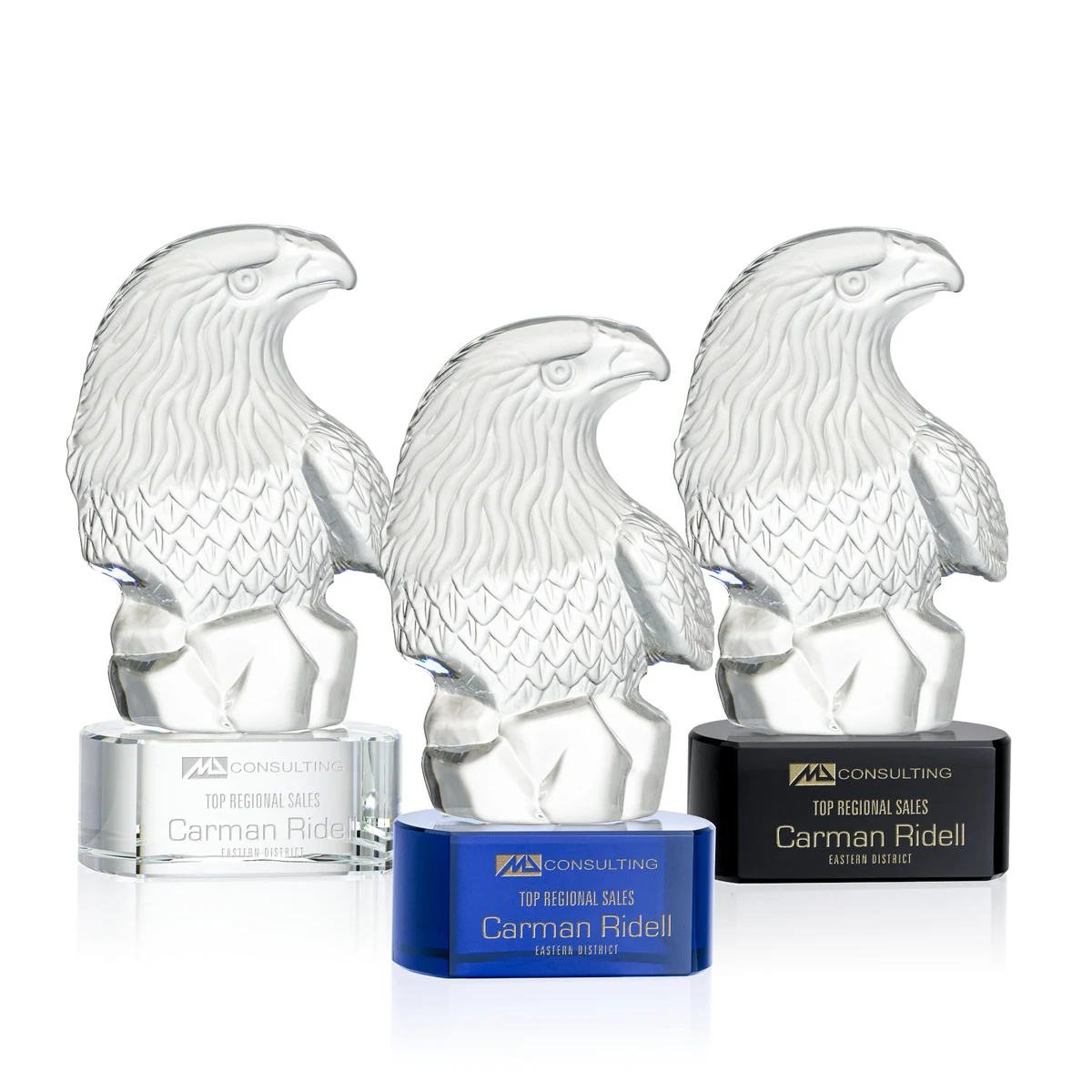 Fredricton Eagle Award on Paragon 1