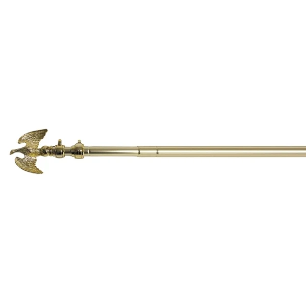 Deluxe Telescoping Aluminum Pole 1