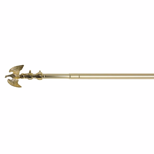 Deluxe Telescoping Aluminum Pole