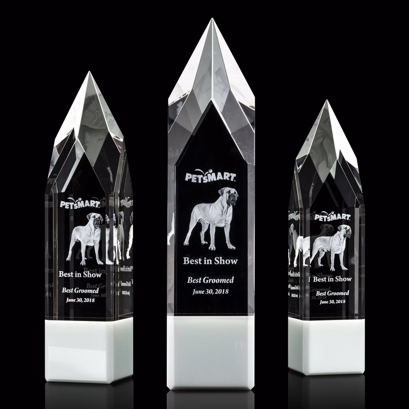 Coventry 3D Award - White