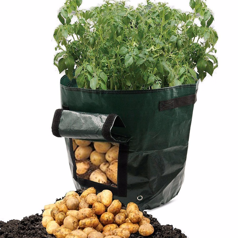 Potato Grow Bag