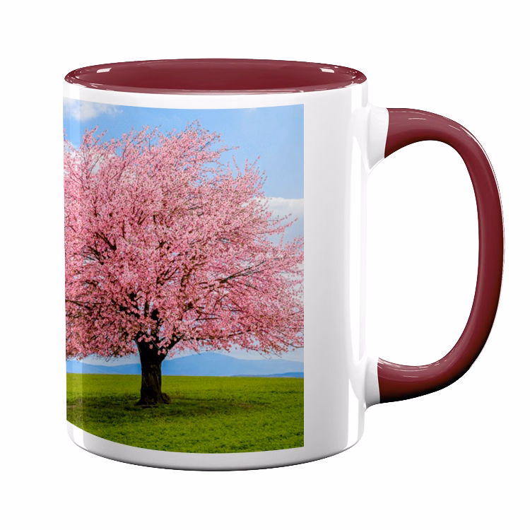 11oz Full Color Maroon Colored Handle Mug